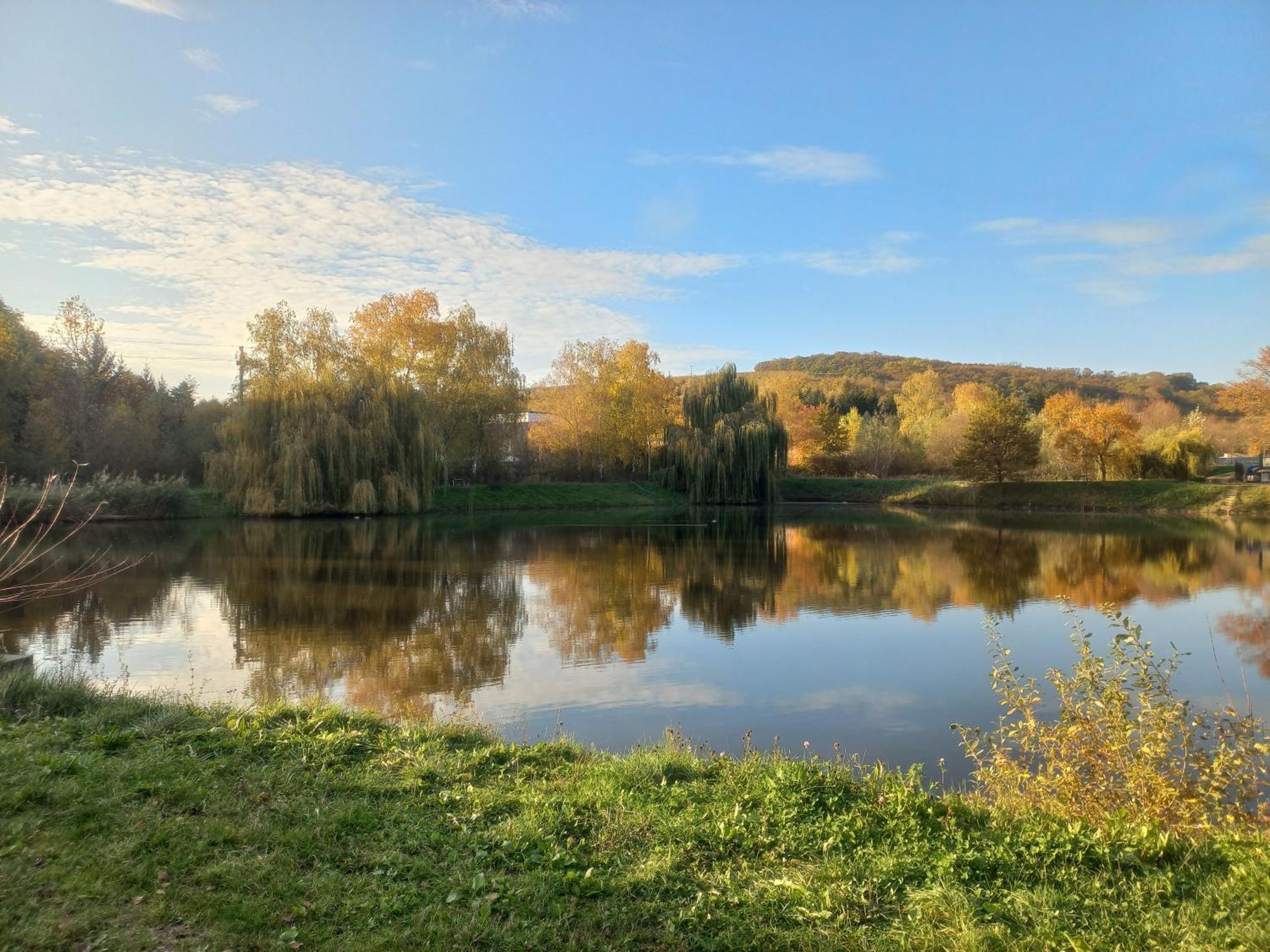 Penzion Ve Vinohrade Němčičky 외부 사진